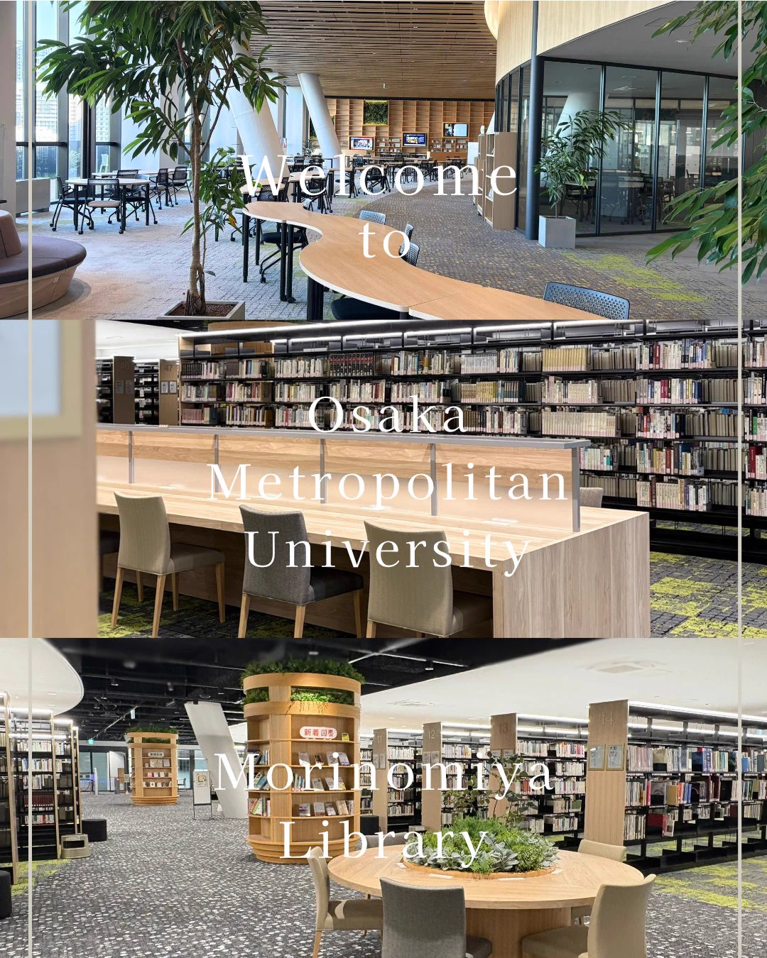 大阪公立大学 on X: 
