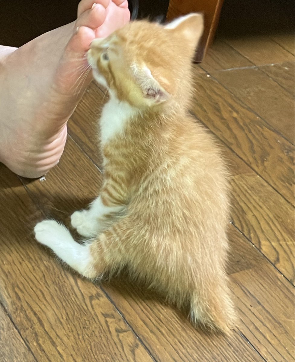 10nvw's tweet photo. サスケ……😭 https://t.co/ln04ufgCca