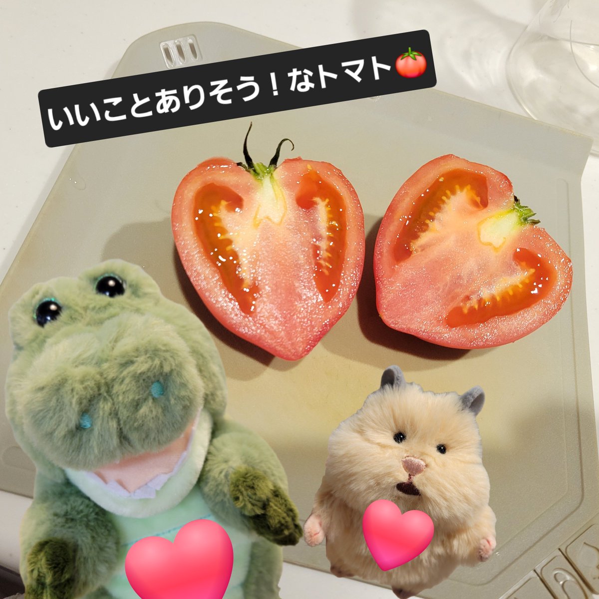 miwa20206's tweet photo. おはよーです☀️🙋‍♀️
昨日は久々に晴れて
洗濯物たくさん！！✨

Tシャツが、制服が、バスタオルが、布団が乾く素敵な日でした👕🌈
(#T乾ロス！🤭)

今日の朝活は…
夫の弁当用サラダづくり🥗
朝活ではない、普通の家事。

でもふつうの日々が有難い😌

#ワーリー
#はむにぎり https://t.co/FQnUSsbwzx