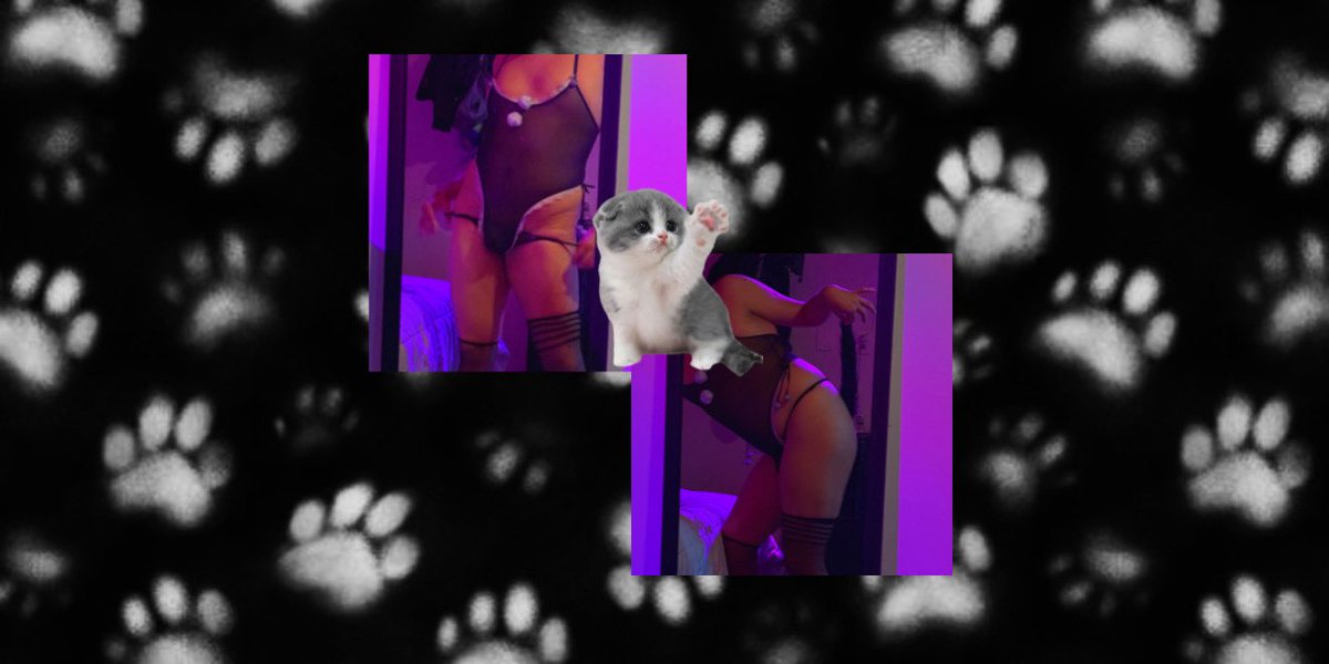 bf_matterial's tweet photo. Meow 🐾 #femboy #femboyespañol #chudai #nsfwtwtًً https://t.co/hAd5Dgk5MX