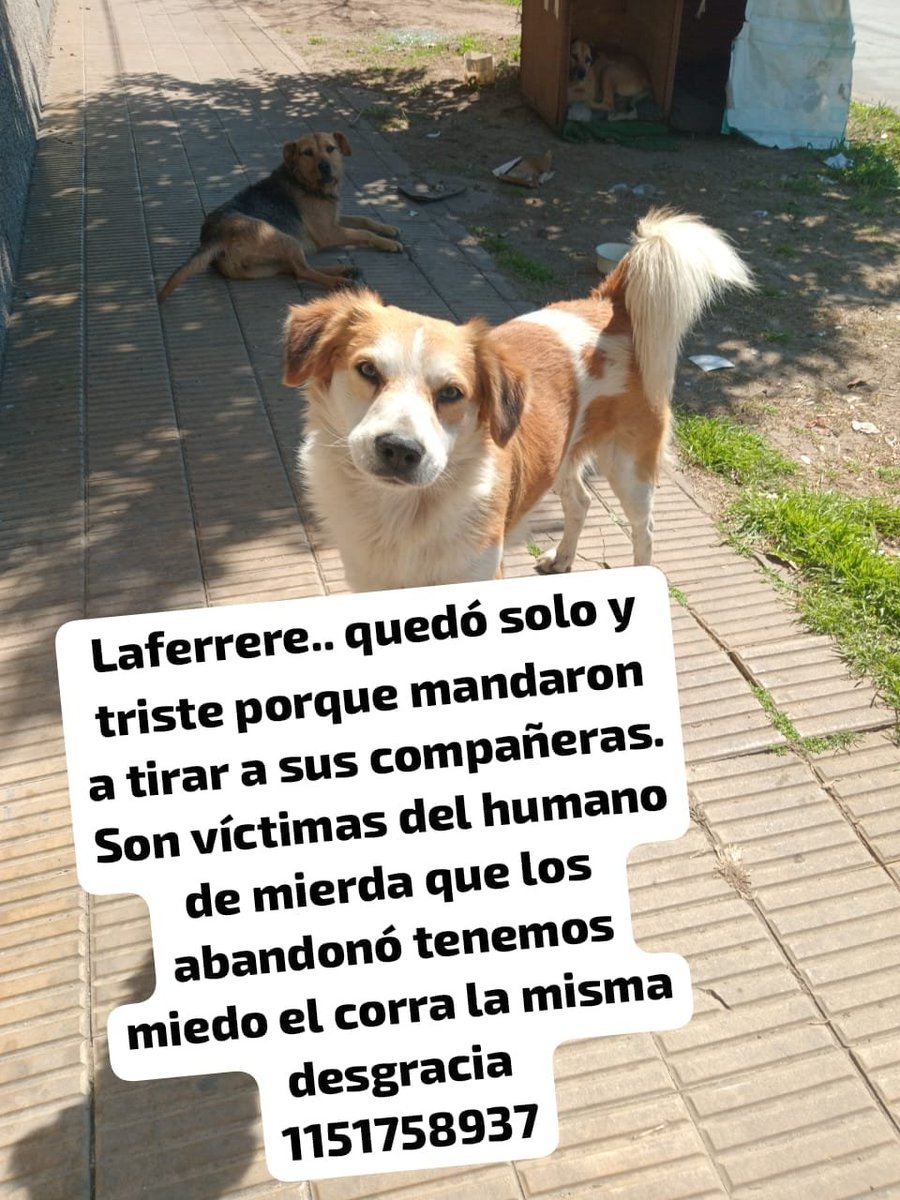 patripeyrou's tweet photo. Difundimos https://t.co/LWcK7wh1Q3