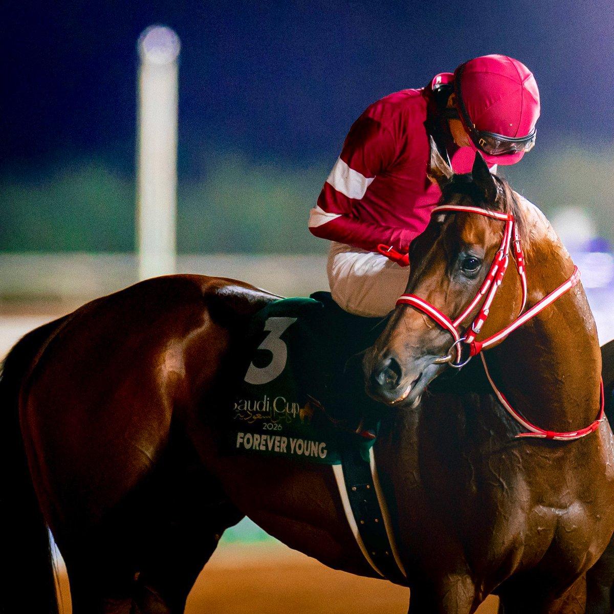 ATHARAL_KHILA's tweet photo. 🏇 أبرز سباقات الخيل العالمية 
📅 اليوم الجمعة 18 سبتمبر 2026
⏰ 11:14 مساءً بتوقيت السعودية 🇸🇦
🏁 المسافة: 2000 متر – رملي
💰 الجائزة: مليون دولار
🔥 هل يواصل فورإيفر يانغ كتابة التاريخ؟
#أثر_الخيل 🐎
@yahagistable https://t.co/8caGCB1hJt