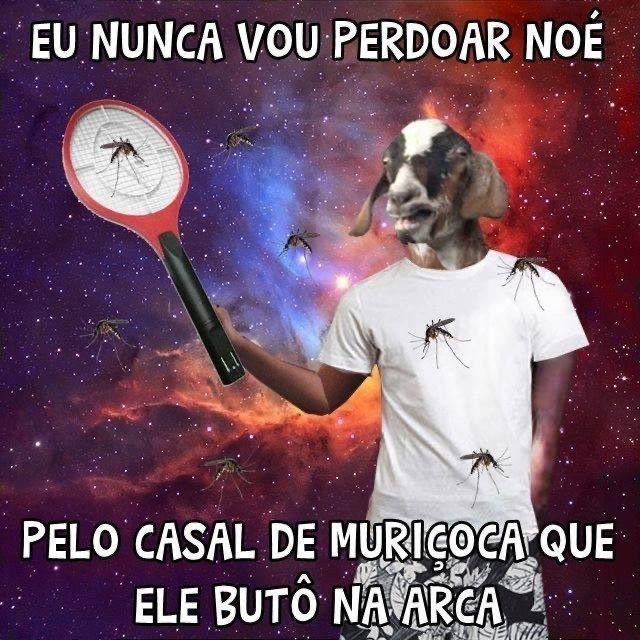 gozandoideia's tweet photo. https://t.co/dAdX08QcP8