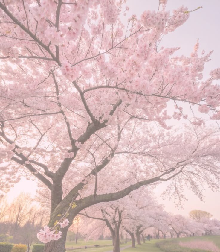 angelicrisette's tweet photo. NEW PINNED !!! 

Rise ⸝⸝ Risette ⸝⸝ She / Her 🏳️‍⚧️

Looking for mooties !! I will always like your posts and i’ll try my best to follow back ! 

6Teen ⸝⸝ no dni (ifb blind) 

#shedtwt #edtwt #risekujikawa #slittwt #moothunt #personatwt https://t.co/tCjTWSzix8