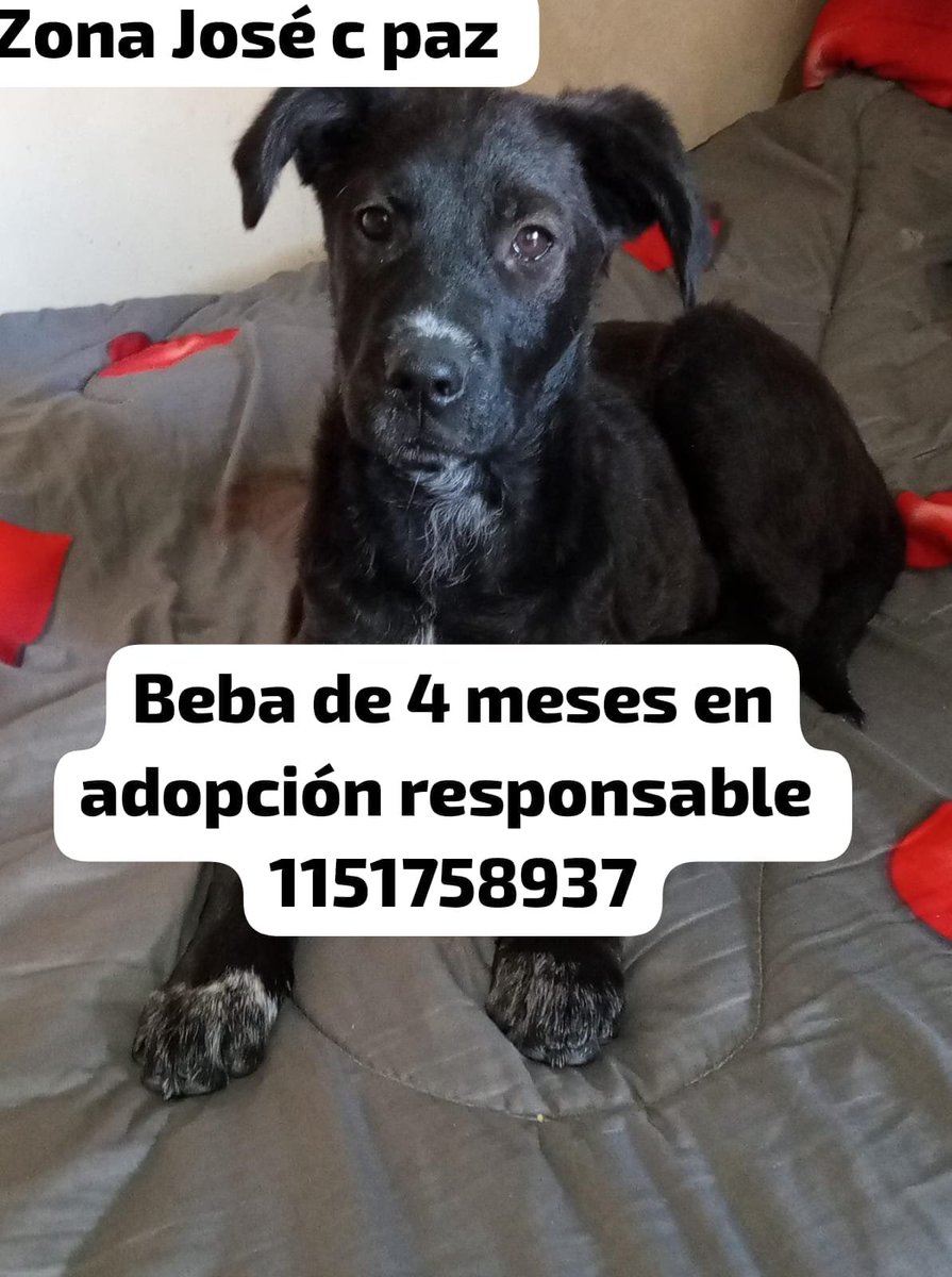 patripeyrou's tweet photo. Difundimos https://t.co/0HxdioMNQH