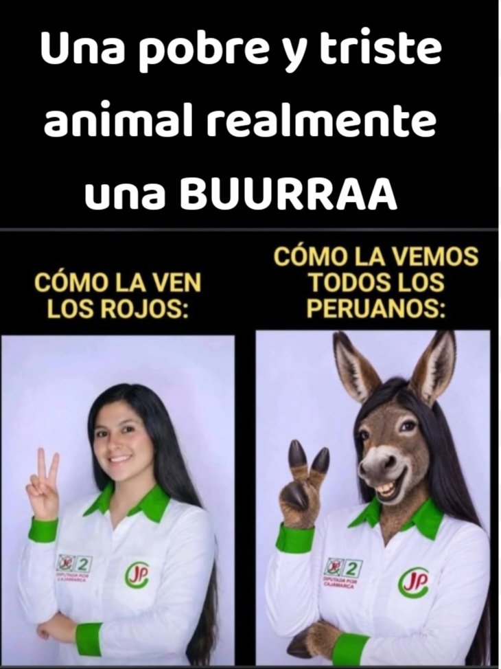 quique_lan56371's tweet photo. Creció en la cloaca 
@BancadaSenJP https://t.co/7c45fIJNtf