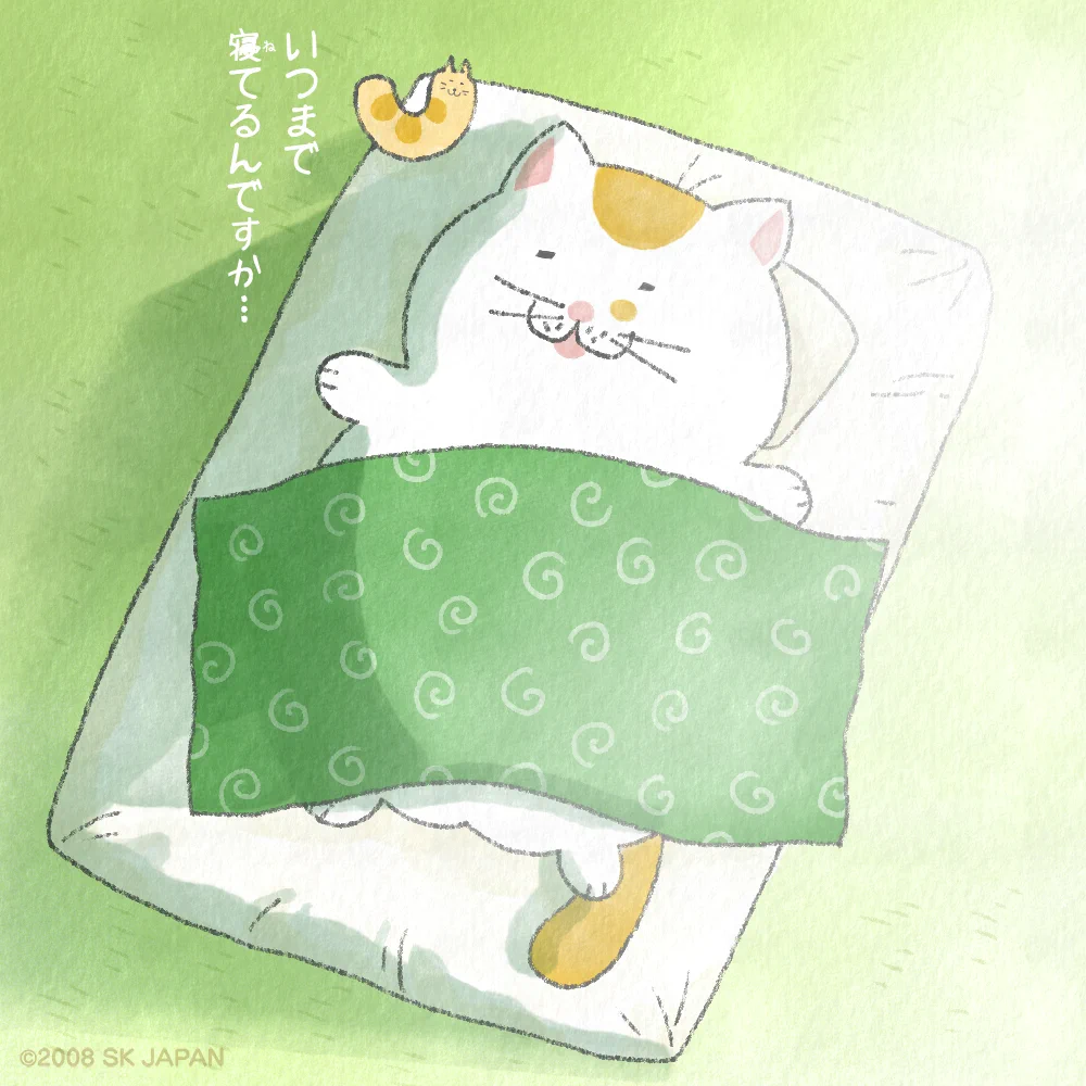 でぶねこ【公式】 (@debuneko_mike) / X