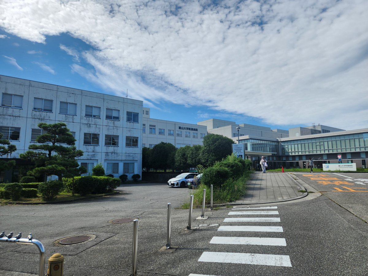 yohkanpon's tweet photo. いざ下界へ https://t.co/FgPPCHSHr2
