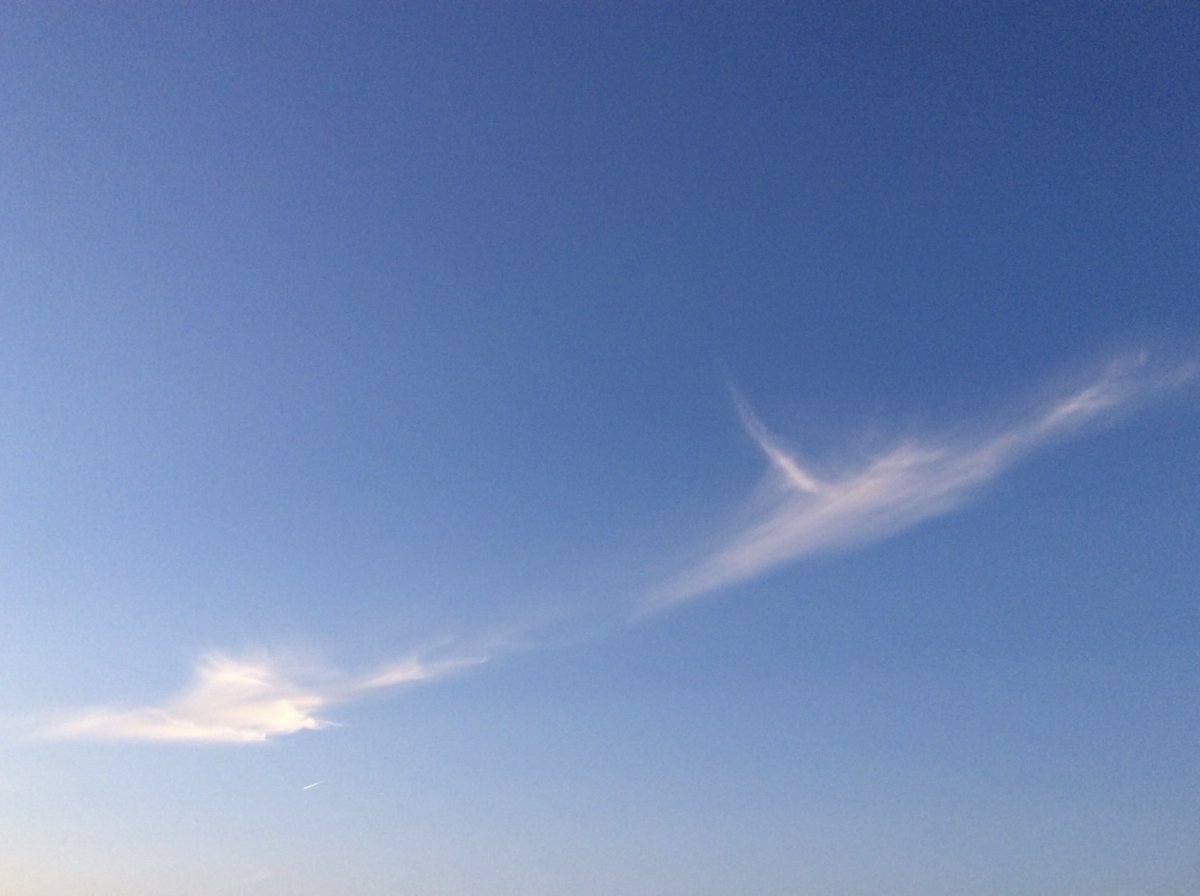 sparna108's tweet photo. 今日は

空を見る日

#心の縁側 https://t.co/gd3nP37cLG