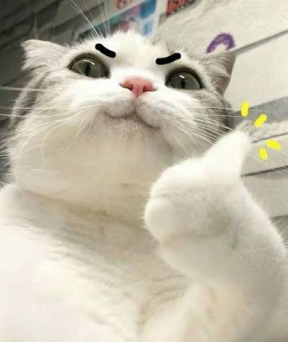 Tgame6798's tweet photo. @not_seogu https://t.co/uKr5VEix6T