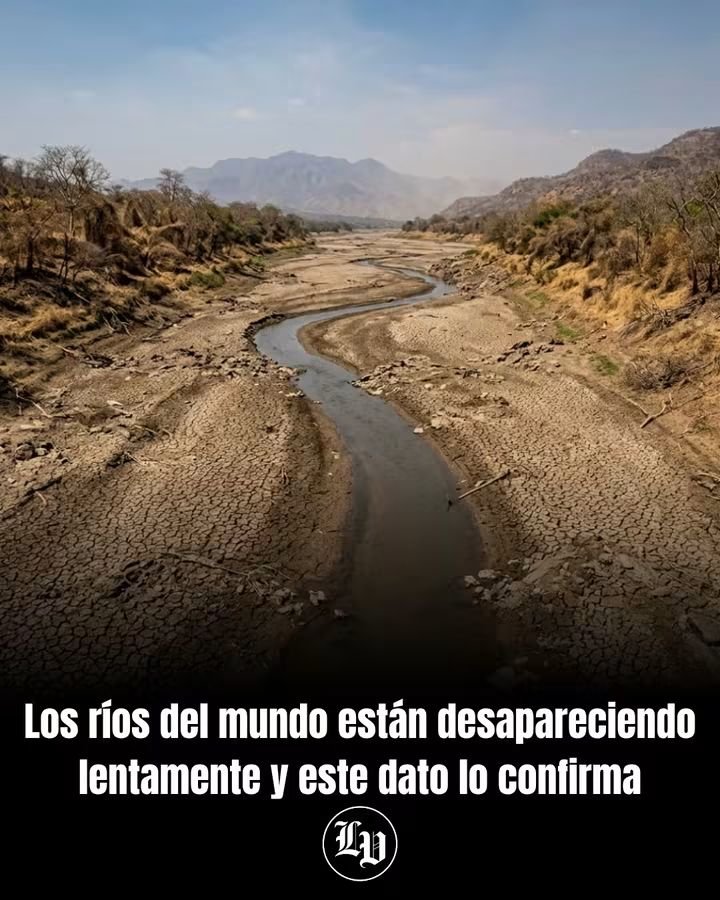 marianaalmonte's tweet photo. @RDPorLoAlto @Carbonelljuan @FellitoSubervi @warnaudbisono @FedericoJovine @RDSomosPueblo @Holsteinson @Osirisdleon @EuricSanti @euri_cabral @MartinezPozo Ya han desaparecido más de 600 ríos y arroyos.#AhorraAguaRD #Sequia #RD #Minera https://t.co/YzJNeEuHnA