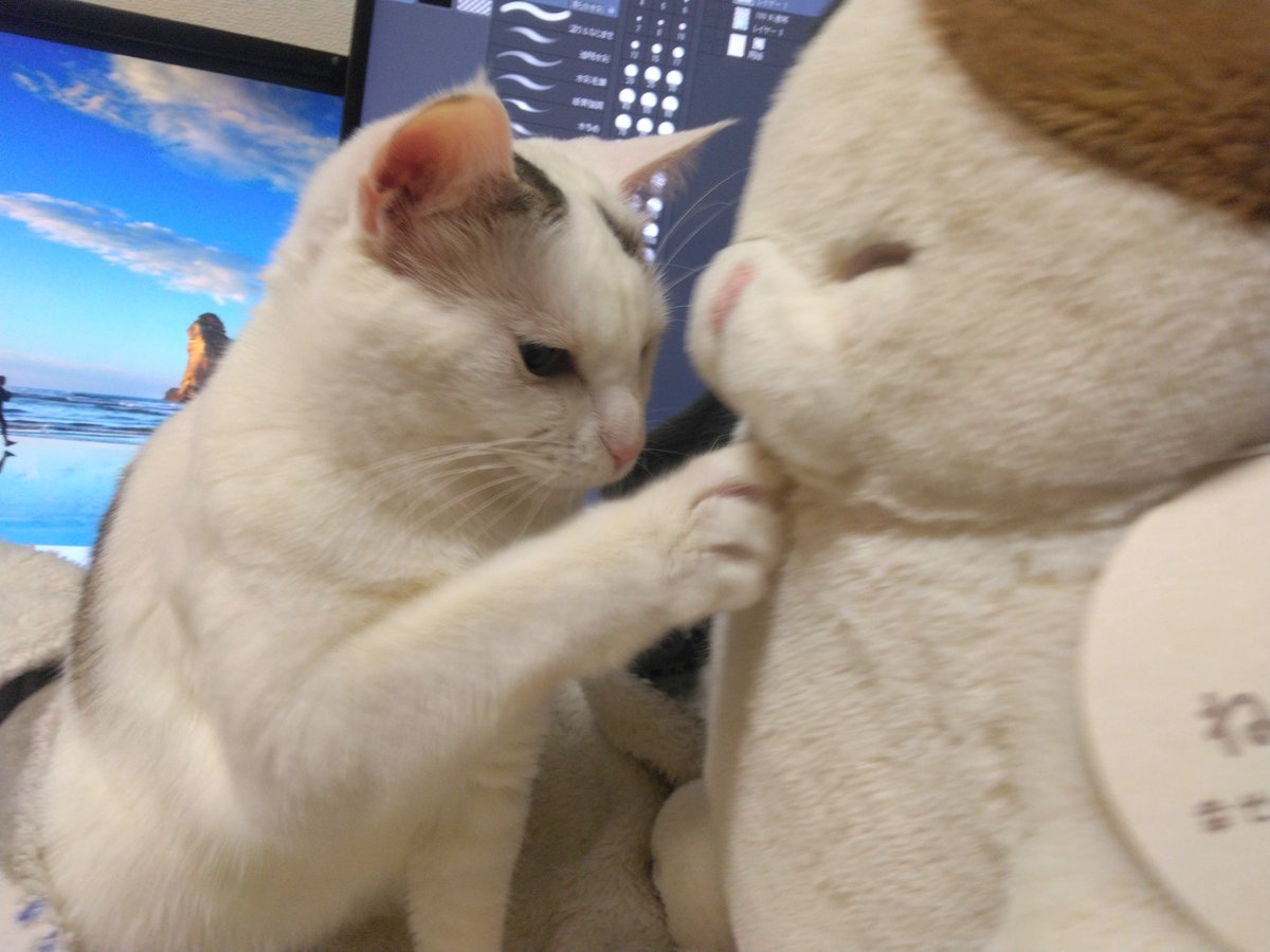 taiyoff's tweet photo. 今も可愛いか… https://t.co/PmXltCcB0X