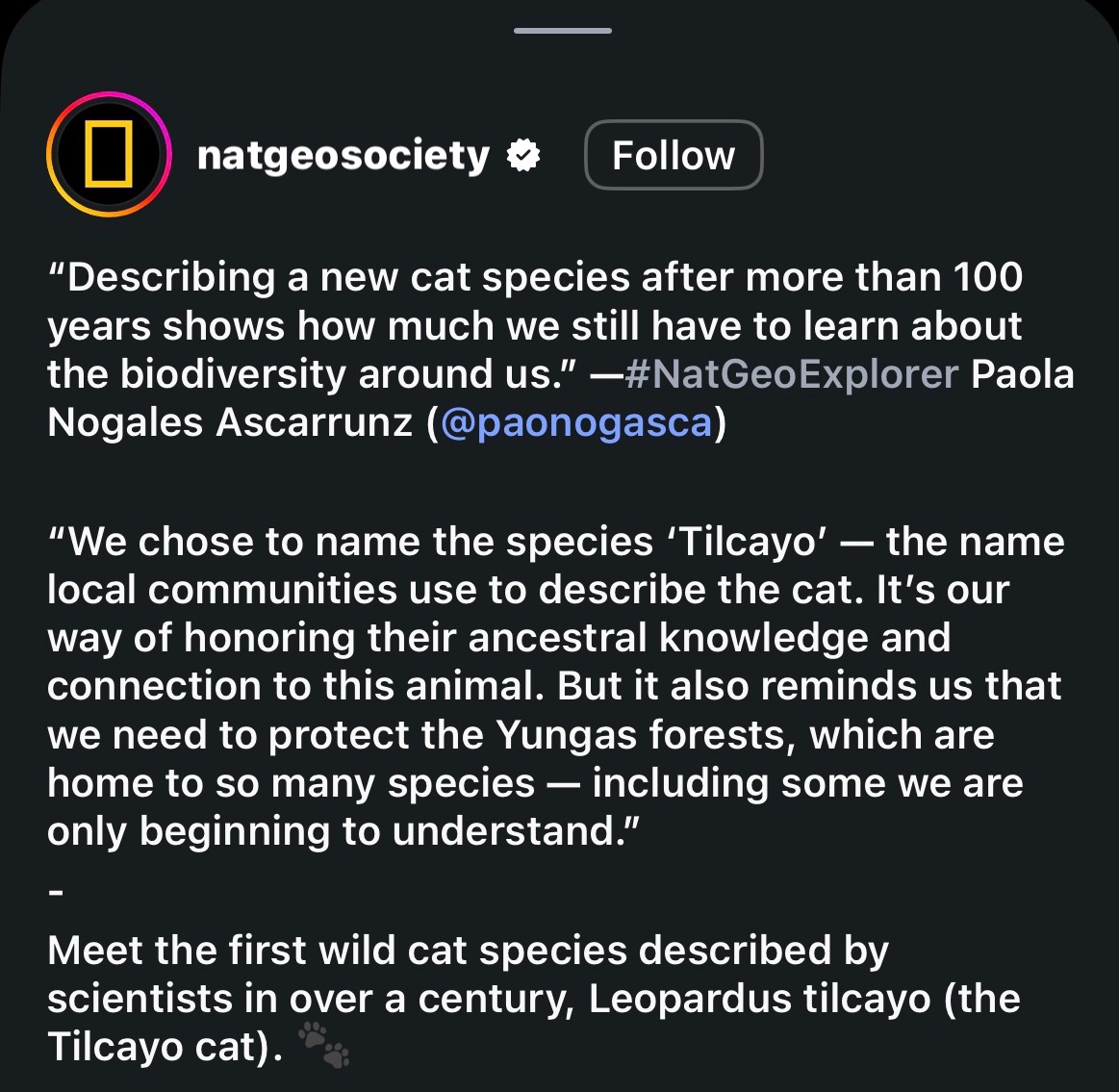 catoftoday's tweet photo. Huge respect 🫡 https://t.co/mh3zQK1hB5