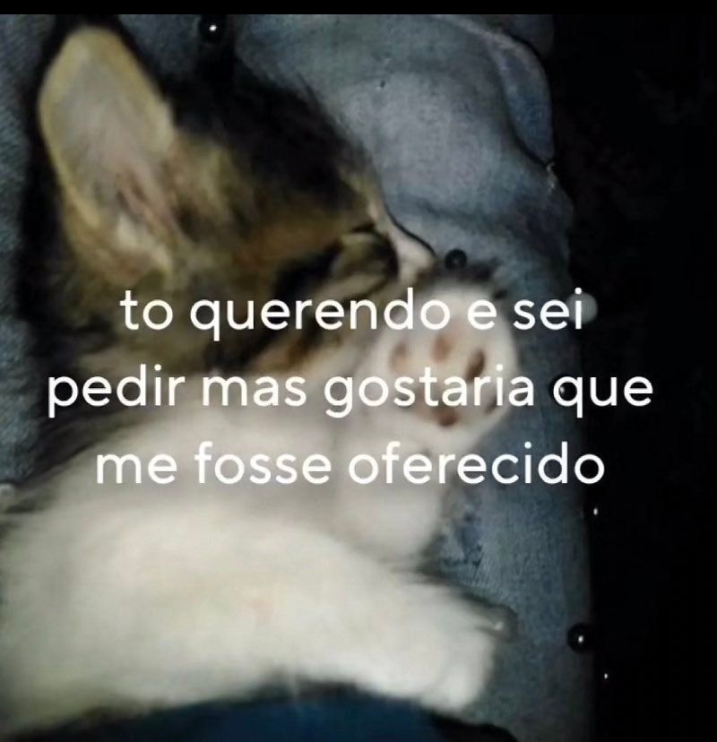memesdogaga's tweet photo. https://t.co/HSI8nWqx6A
