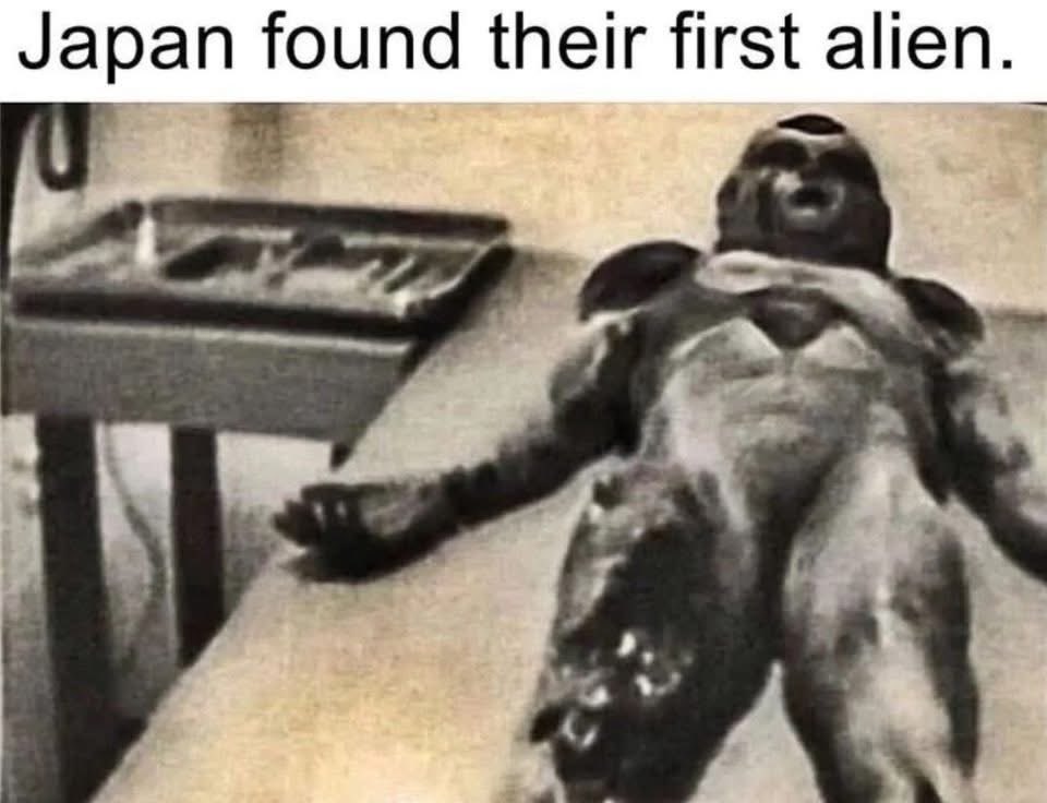Zeirdris's tweet photo. @LongBeardPro Meanwhile, in Japan, they found their first alien. https://t.co/E3Bx0zvJ8f