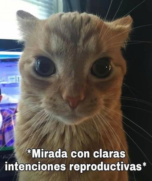 worldking222's tweet photo. @MalenaOrti58464 Mi más honesta reacción. https://t.co/t6fMdncbbD