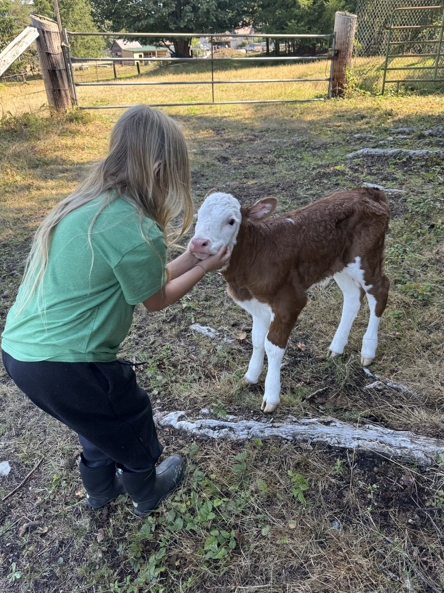 BrandonPet35Z's tweet photo. New addition to the Family! https://t.co/VPQ49Dq02E