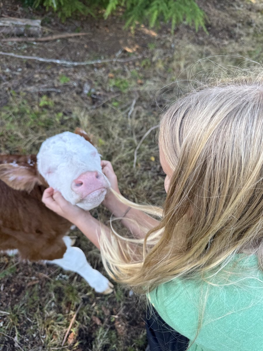 BrandonPet35Z's tweet photo. New addition to the Family! https://t.co/VPQ49Dq02E