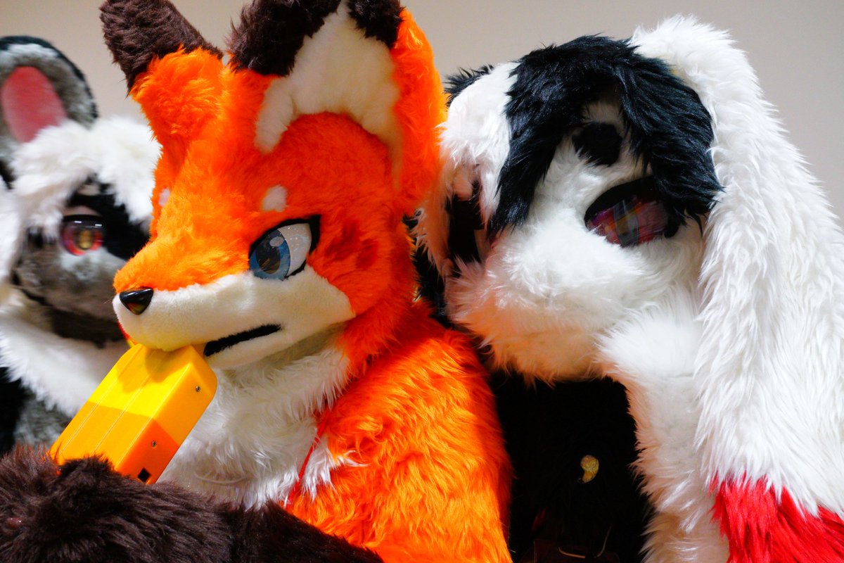 migumigun's tweet photo. #FursuitFriday https://t.co/beAmkq79GE