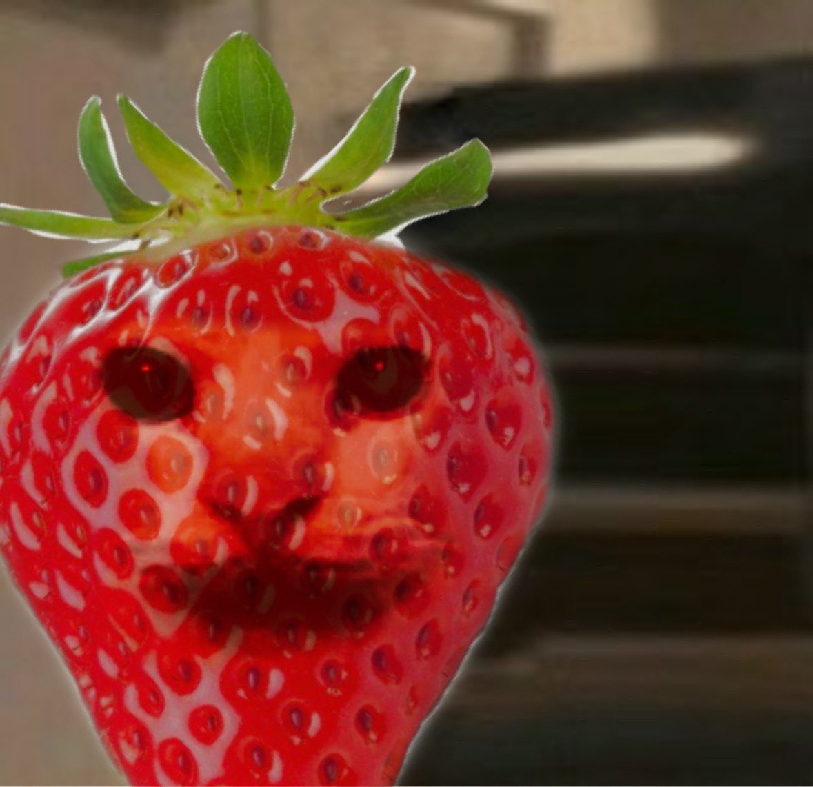 Gus2TheMoon's tweet photo. @h0sewater @N0VAST4R_ here u go. fresh from the basket!! https://t.co/Ig28fVrG5p