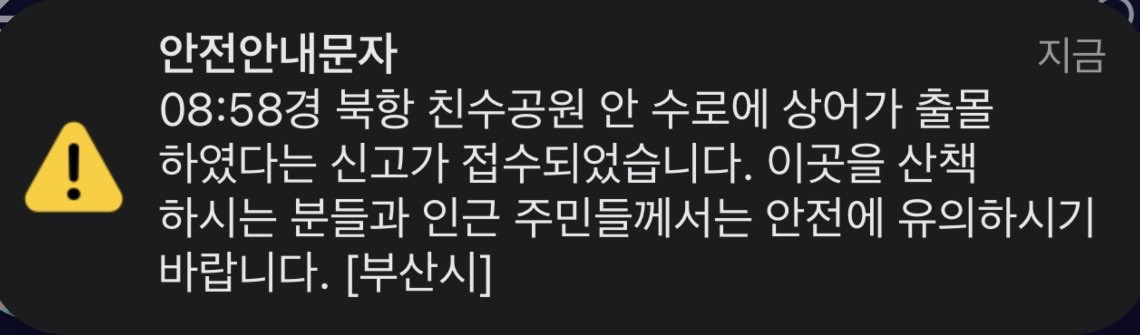 1TAG7296's tweet photo. 상어요??? https://t.co/r6PgU21VN7