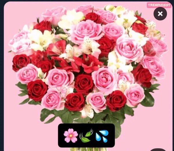 Naz7652's tweet photo. Hello Salam 
Dear all my friends 
best wishes 
new start 
new aims 
new thoughts 
for the upcoming 
new day 
🌸🍃🌸🍃🌸🍃 https://t.co/FMM4moqfvP