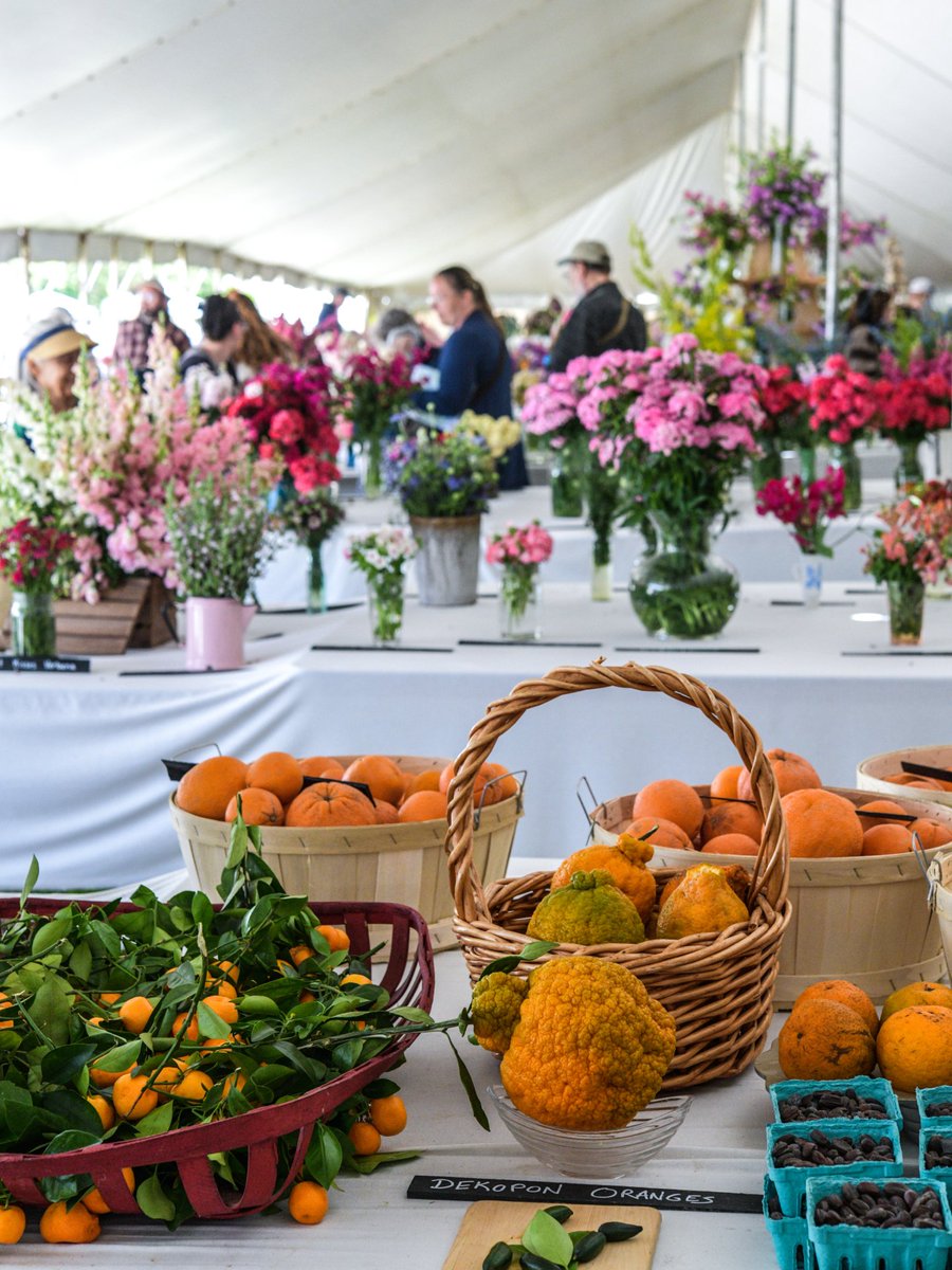 VisitMO's tweet photo. Oh my gourdness, that’s a lot of pumpkins. 🎃 

At Baker Creek Heirloom Seed Company’s Harvest Festival, heirloom varieties pile high alongside colorful blooms. It’s a fall tradition worth planning a trip around. Find more fall festivals: https://t.co/UrdZHMd4ZZ

— Mo https://t.co/5tlE8XQxrj