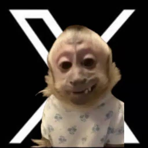 JustinBoozer's tweet photo. @zeroxjackson you mean   xmonkey?? https://t.co/W2isqOb990