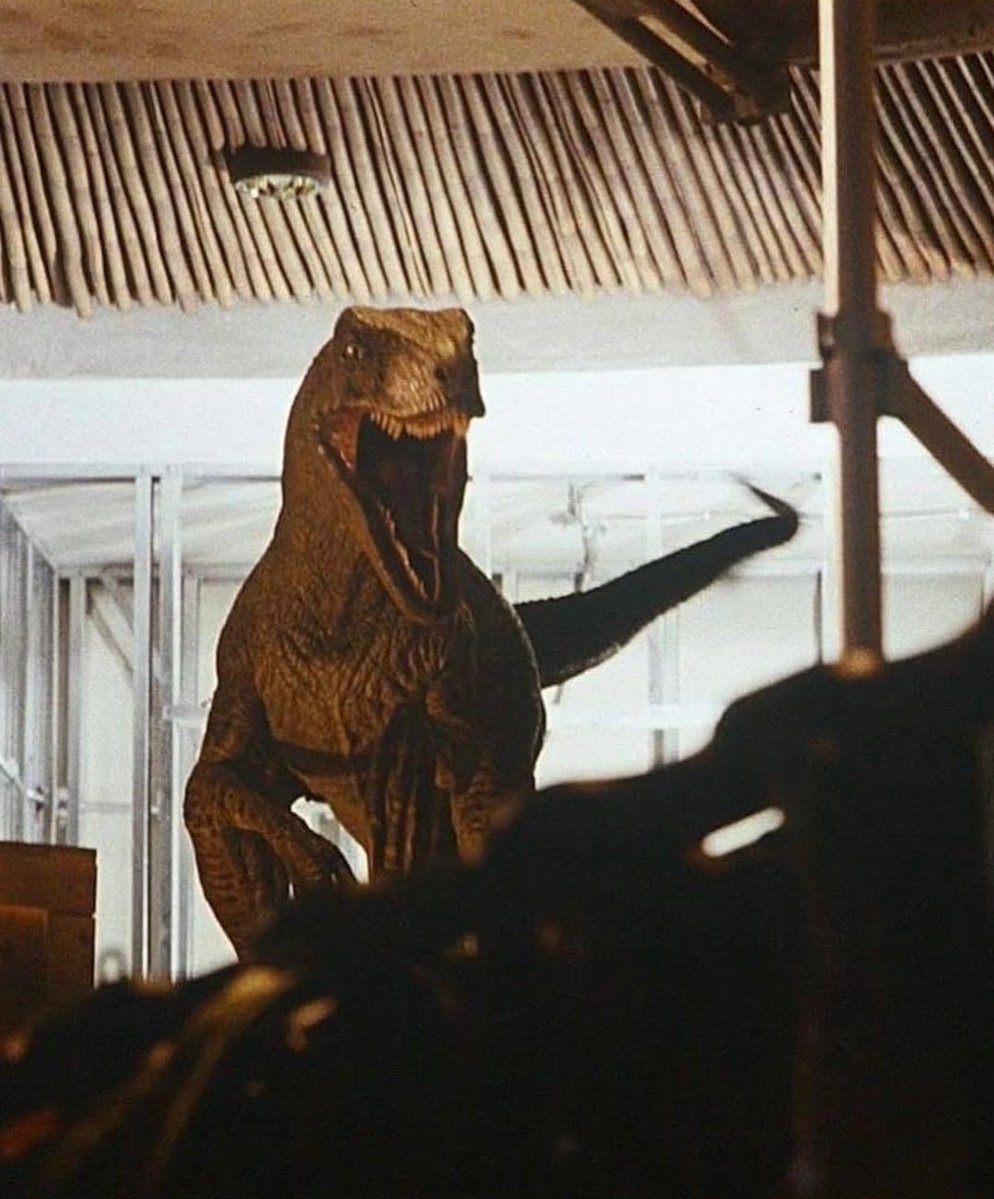 oplasticlover's tweet photo. Jurassic Park (1993) https://t.co/RicU5RCtHS