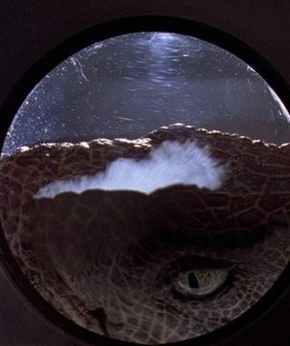 oplasticlover's tweet photo. Jurassic Park (1993) https://t.co/RicU5RCtHS