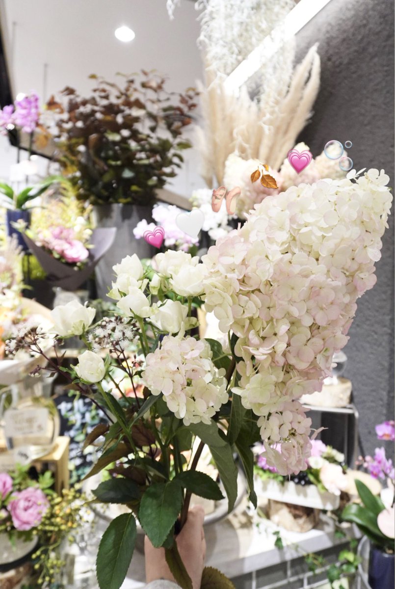 mana_design__'s tweet photo. ＼ 気付いたら金曜日🏃‍♀️💨 ／

秋の紫陽花と言われるものが
この世にあるんですね😍(昨日知りました)

色味とフォルム(💐紫陽花大好き)
が可愛すぎてお持ち帰りしました🏠♡🍂

(名前も可愛すぎる🤣🤣♡)

他に合いそうなお花も見繕って
自分にプレゼント〜🎁💐

長持ちするらしいので
家時間がまた幸せになりそうです🥰🏠

本日も頑張りましょう〜👩‍💻✨
