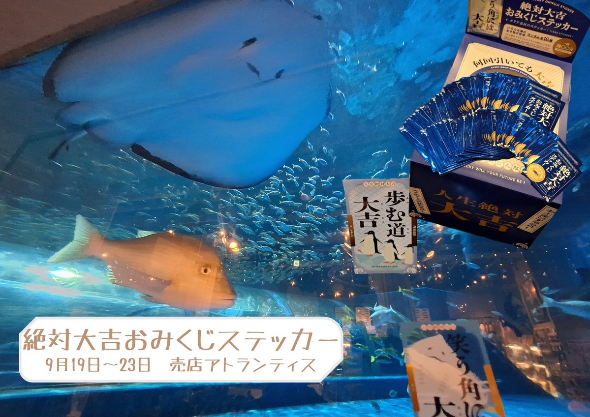 marinepark_nixe's tweet photo. 売店アトランティスからのお知らせ📢

9月19日～23日の5日間
売店アトランティスで
絶対大吉おみくじステッカーを
数量限定で販売します🦈

1枚　￥４００（税込） 

海の生き物が「大吉の未来」を占うおみくじステッカーです

全16種類　（ノーマル柄14種＋レア柄2種）
あなたの推しが当たればさらにハッピー😍

あなたの未来はどんな大吉❓
ご来店お待ちしております🐧

#登別マリンパークニクス
#北海道
#水族館
#登別
#hokkaido
#noboribetsu
#aquarium
#絶対大吉おみくじステッカー
#シルバーウィーク
#ステッカー
#おみくじ