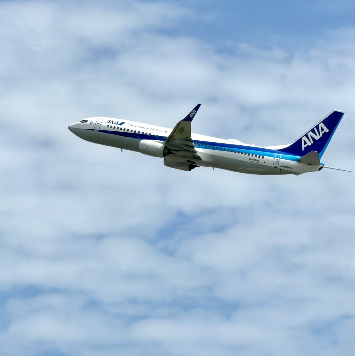 madamadamatu's tweet photo. おはようございます✈️
涼しいけど🌱暑い☀️

良い一日を🍀 https://t.co/zmqAuQezuD