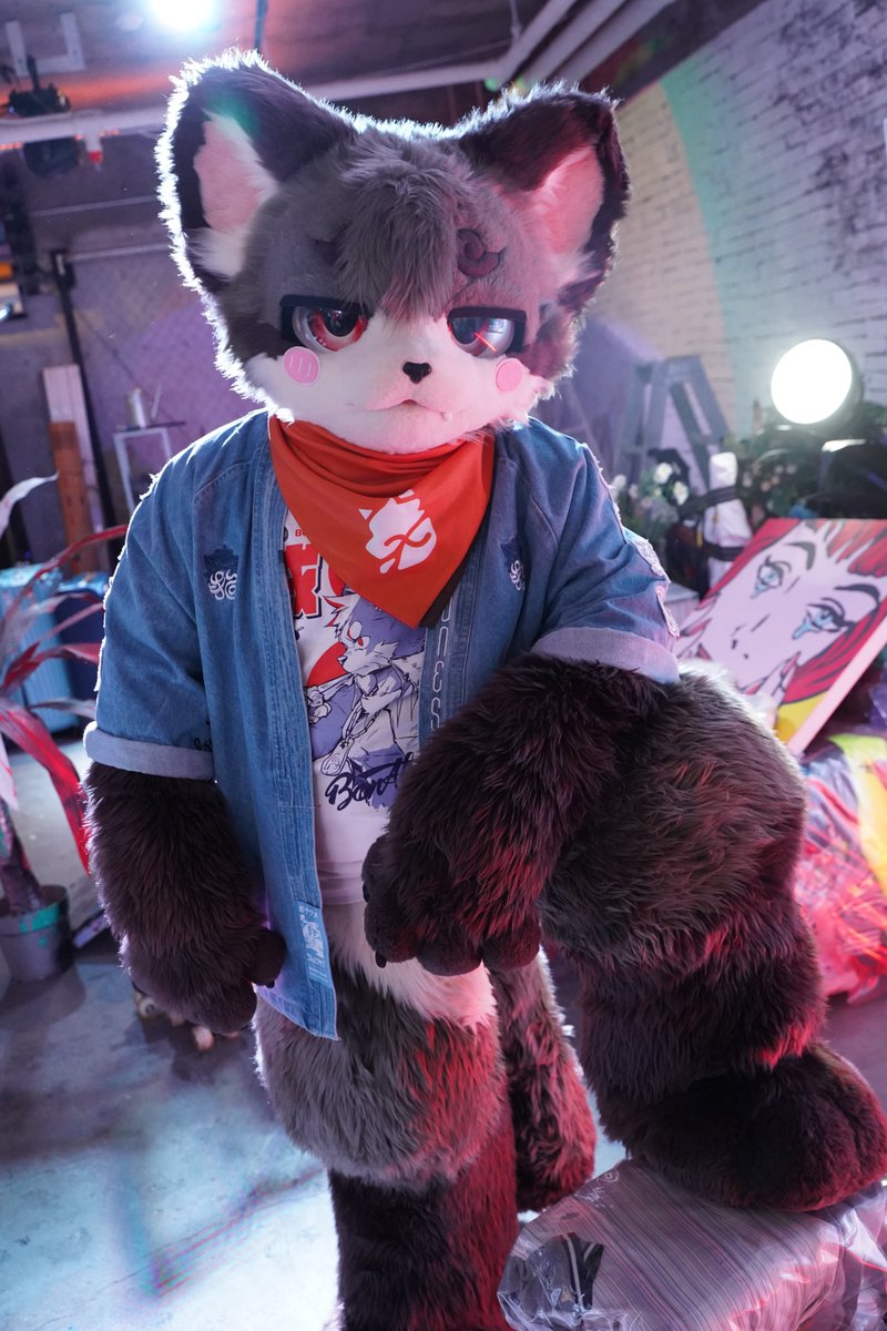 eisuke_fur's tweet photo. 🐾 https://t.co/yEKURQScB5