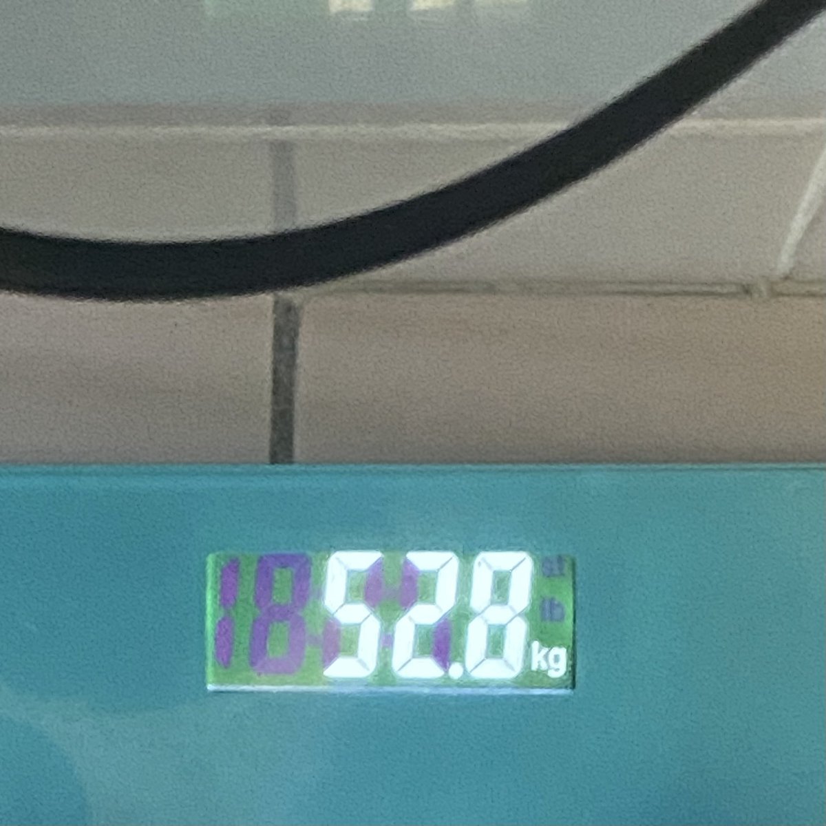 7elora's tweet photo. wow i lost 0.1kg 😭 https://t.co/Sh039dTSFU
