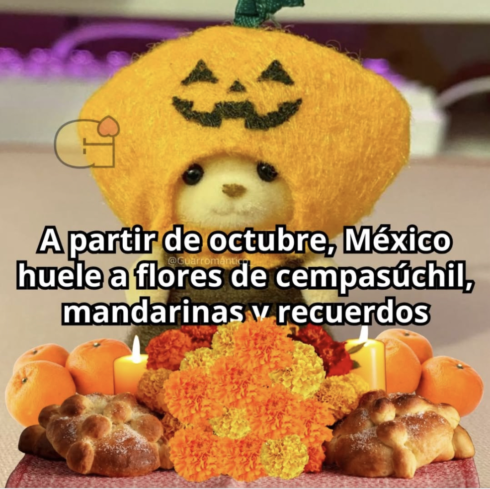 Guarromantico_'s tweet photo. A partir de Octubre 🎃 https://t.co/dEZM6JFBhe