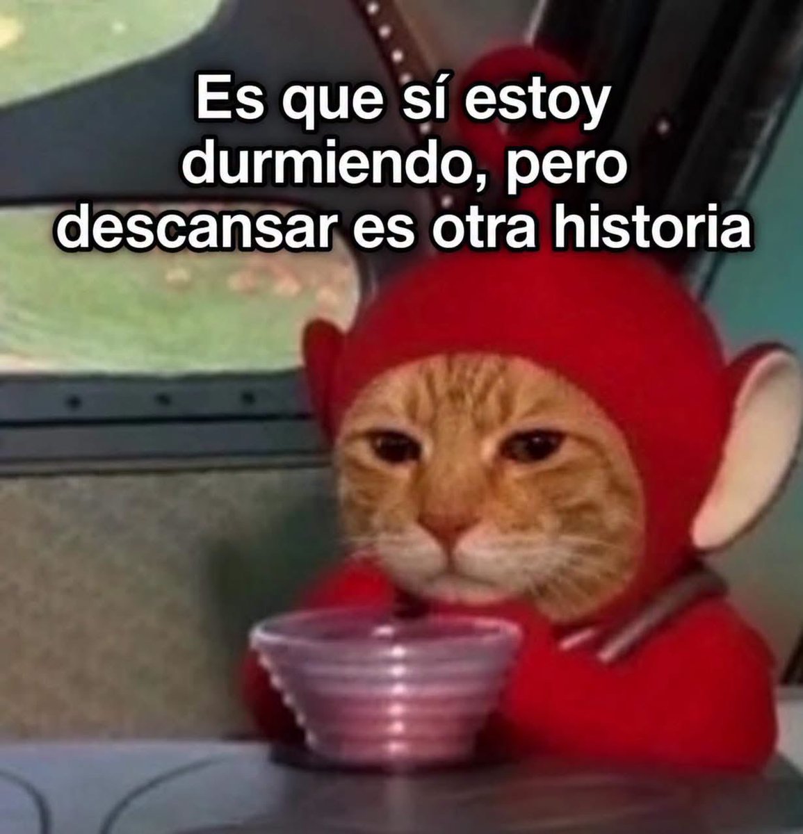 R31naDeInvierno's tweet photo. Obviamente https://t.co/uC9k4zqMJy