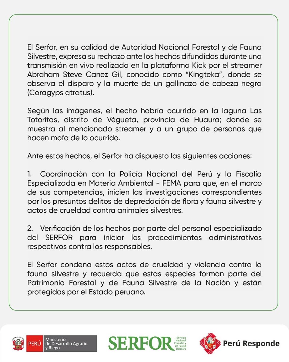 SerforPeru's tweet photo. 🔴Lo último | Serfor condena muerte de #gallinazo de cabeza negra y activa acciones para sancionar a responsables. https://t.co/qcWkr0G98z