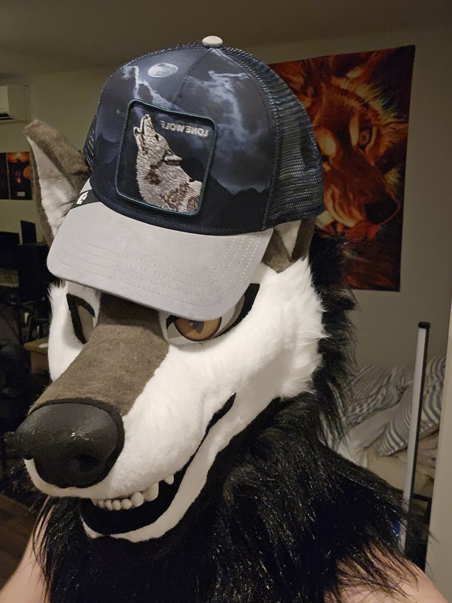 KaydeWoof's tweet photo. He doesn't know how silly he is https://t.co/VksNa9HB5T