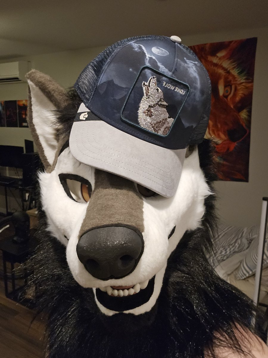 KaydeWoof's tweet photo. He doesn't know how silly he is https://t.co/VksNa9HB5T