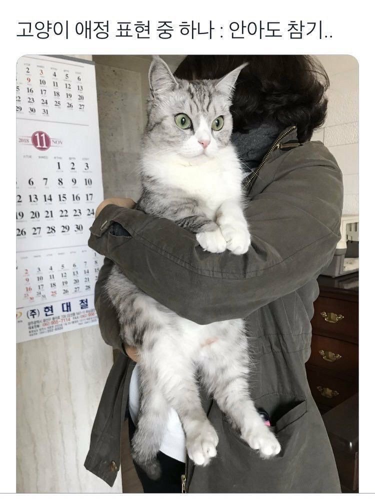 naduli122's tweet photo. 구래! 안아도 참아주는거시다!! 움하하하! https://t.co/qfuxO8ghe4
