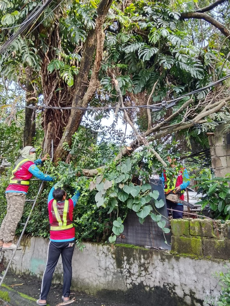 valenzuelacity's tweet photo. @abacamaganda @meralco Magandang araw po, as of now po ito na po ang status nung clean-up po natin from our Clean and Green Team. 

Salamat po! https://t.co/TMv3JfySX7