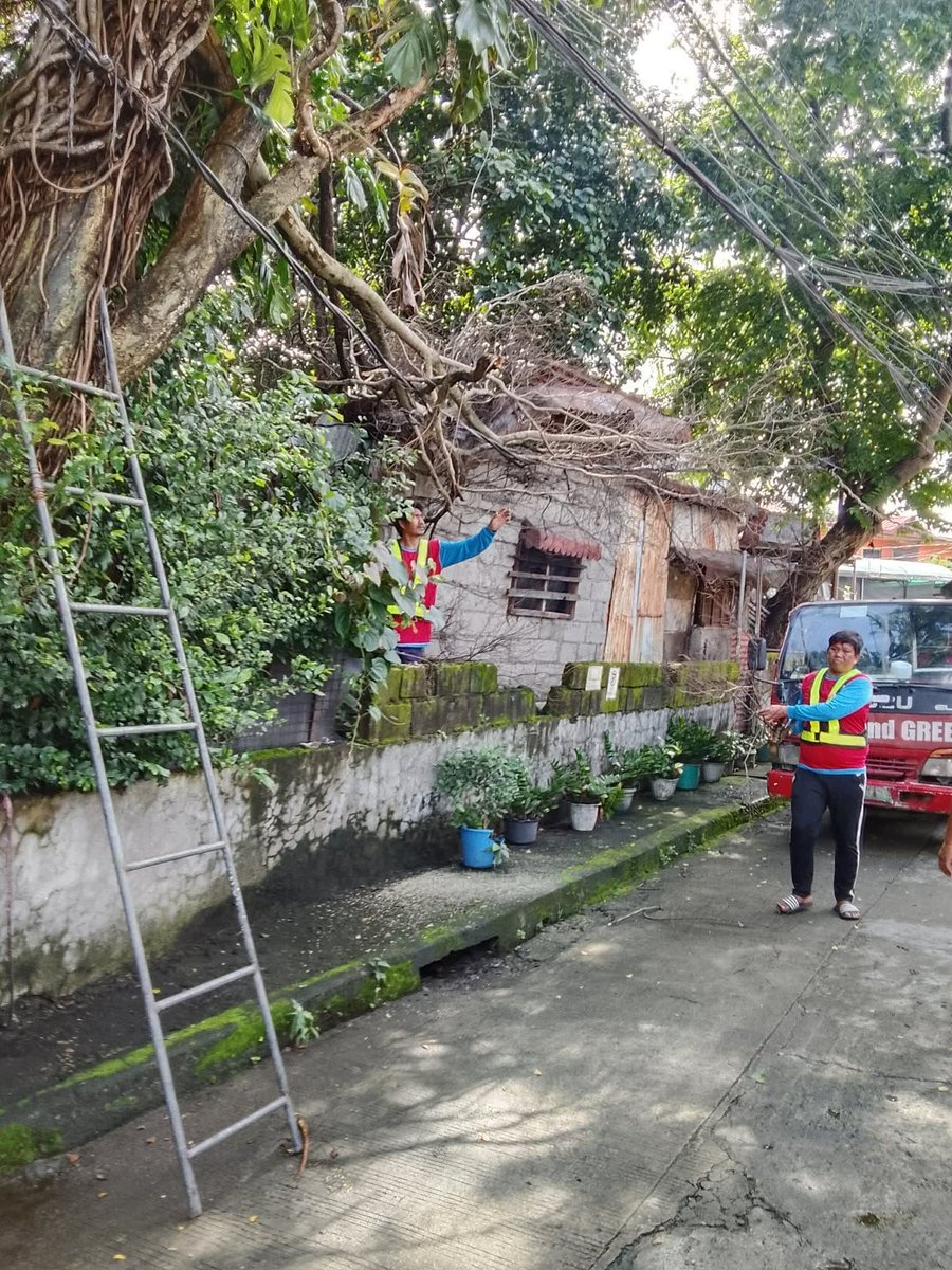 valenzuelacity's tweet photo. @abacamaganda @meralco Magandang araw po, as of now po ito na po ang status nung clean-up po natin from our Clean and Green Team. 

Salamat po! https://t.co/TMv3JfySX7