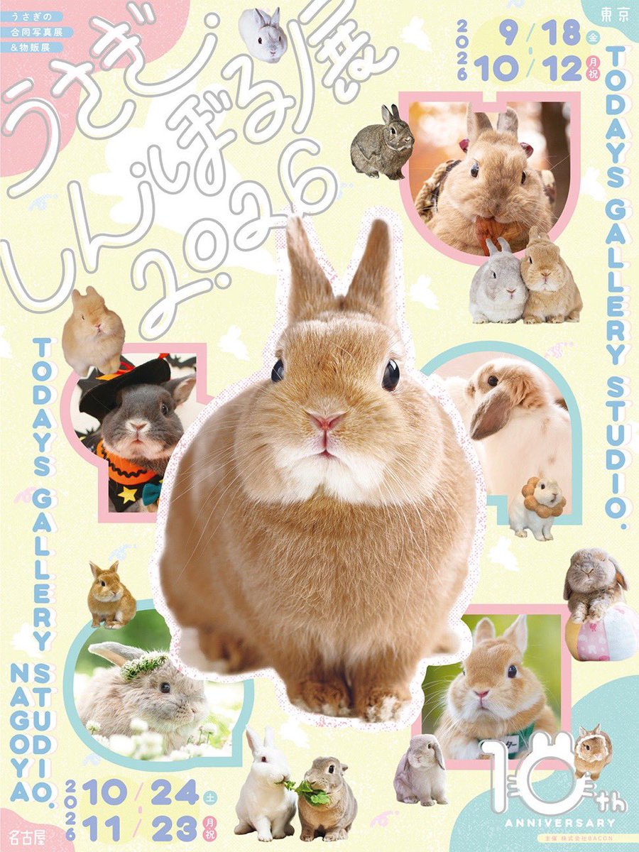 codemarido's tweet photo. 委託のおしらせ🐰
《うさぎしんぼる展2026》

2026.9.18 (金) 〜 2026.10.12 (月)
🕚平日・日曜 11:00～17:00
🕚土曜・祝日 11:00～18:00
休館日毎週月曜日
(9月21日(月)、10月12日(月)の祝日は開館)
📍TODAYS GALLERY STUDIO.
〒111-0053 台東区 浅草橋5-27-6 5F

ぜひぜひお越しください☺️ https://t.co/AwTaue3XwT