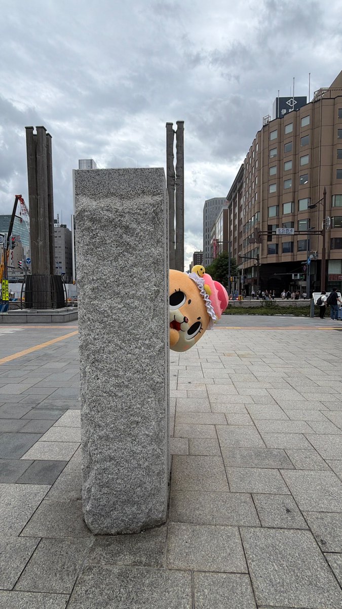 dosanko_chiitan's tweet photo. ちぃたん⭐︎のこと見つけられるかなー？🫣 https://t.co/q5f99CkLGH