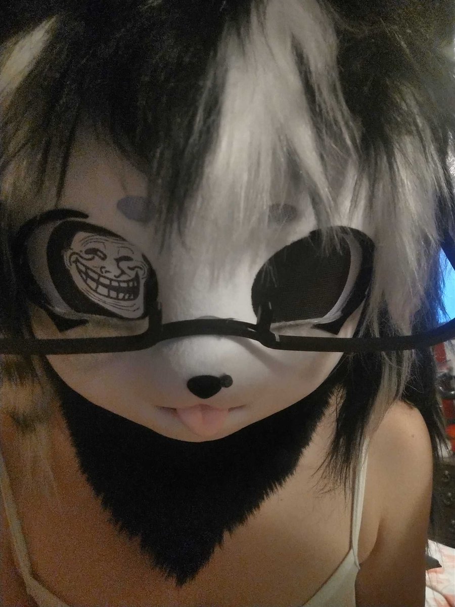 poejackmen's tweet photo. My cute furry irl needs some fat cocks to pleasure, tribbers dmm :3

#cumtributeِs #request #tributerequest #goon #irl #fursuit #jerktribute #trib https://t.co/zsrEGVxL57