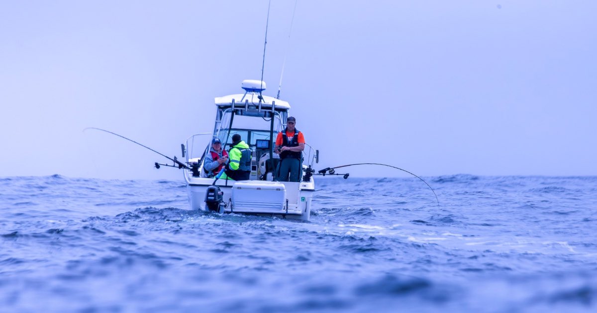 MyODFW's tweet photo. Cape Falcon to Humbug Mountain sport ocean salmon reopens to coho retention for 2 additional days Sun. 9/20/26 &amp; Sat. 9/26/26. https://t.co/y4jENiFagv