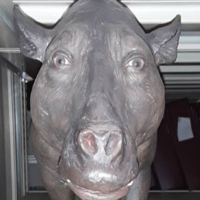 NeganForce's tweet photo. @yellowwalrus65 @destroysunnis @MercifulMessage "tHe aLi sTuFf iS iRoNiC dUmMy"

Mind your own fucking business you utter dipshit chud https://t.co/hdy5yLNOTQ