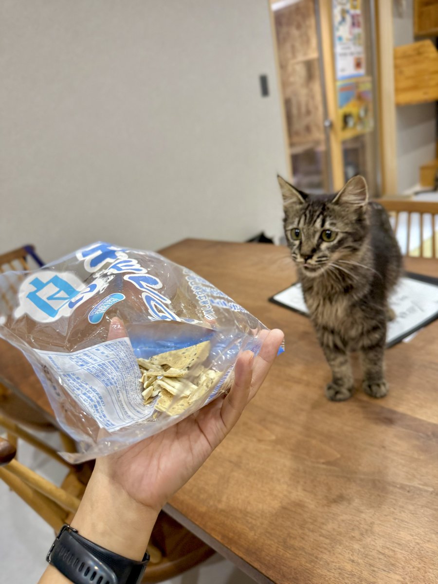 omochi_nam01's tweet photo. ザラーーーーッと、ダイレクトに流し込む！！！！ 砕けたカケラを一気に味わう背徳感、最高です！！！！！！！！ https://t.co/yQnXMoWF4q