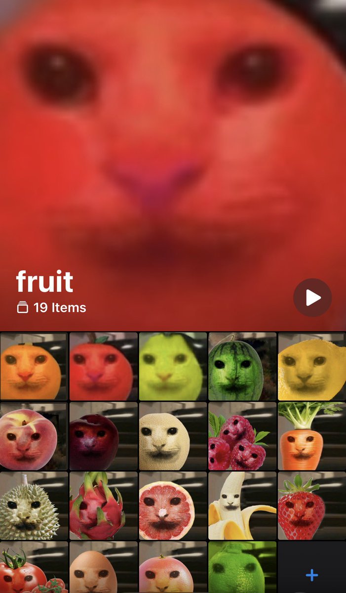 Gus2TheMoon's tweet photo. who wants Fruit https://t.co/GOmXlcs38Z